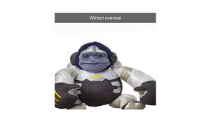 Winton Overwat (Overwatch) | Know Your Meme