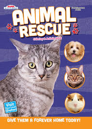$20 for parakeets and small exotic birds. Animal Rescue Coloring Activity Book Gray Kitty Kappa Books Publishers 9781559931342 Amazon Com Books
