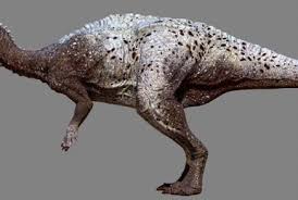 Image result for Hypuronector