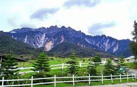 De qué forma los pagos que recibimos afectan al orden en que se muestran los precios. Desa Cattle Dairy Farm Kundasang Ticket Price Timings Address Triphobo