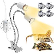 Reptile Heat Lamp with Clamp and Bulbs
