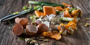 It refers to situations when food makes it to the end wasted food creates billions of tons of greenhouse gases (major culprits in climate change) and needlessly consumes precious land and water resources. How To Recycle Food Waste At Home Greentumble