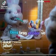 yapmayin bee off ne istiyorsunuz su guzel hayvanlardan asil sorun insan gorunumlu hayvanlarda video 2021 sarkilar komik komik seyler
