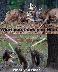 So True One Time A Big Fox Squirrel Dashed Between Some Trees On A Ridge And Man After A Long Morning Sit Deer Hunting Humor Funny Hunting Pics Hunting Humor