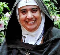 Le Comptoir De Syrie