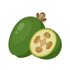 Image result for Feijoa