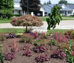 Single Stem Harry Lauder S Walking Stick And Goshiki Shidare Japanese Maple Used In A Corner P Garden Landscaping Shade Tolerant Plants Garden Landscape Design