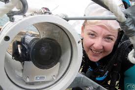 Labradors of the sea