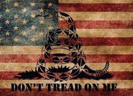 Pin By Josh Ornelas On 2nd Amendment Dont Tread On Me American Flag God Bless America