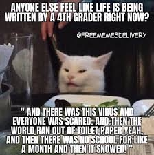 Pin By Victoria On Just For Laughs In 2020 Funny Relatable Memes Funny Jokes Funny Memes