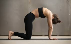 9 Vinyasa Yoga Poses For Beginners Journeys Of Yoga Vinyasa Yoga Poses Yoga Poses For Beginners Yoga Poses