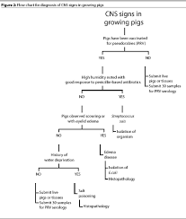 Rademacher Cj 2001 1 31 33 Diagnostic Approaches To Swine Centr