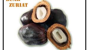 Beli buah zuriat di jogja,beli harga buah zuriat mekah,jual buah zuriat,harga buah zuriat di surabaya,harga buah. Wulan Author At Buah Zuriat Laman 3 Dari 3