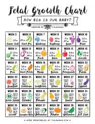 Your baby, over 2.6kg and still piling on the weight at a rate of about 30g a day, is close to the size of a romaine lettuce. How Big Is My Baby Using A Fetal Growth Chart To Track Your Baby Size By Week Tulamama