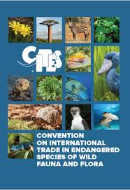 what is cites cites