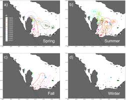 Hawksbill turtles face different predators as they age. Frontiers Environmental Drivers Of Habitat Use By Hawksbill Turtles Eretmochelys Imbricata In The Arabian Gulf Qatar Marine Science