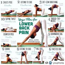 Pin On Exercises And Stretches For Lower Back Pain