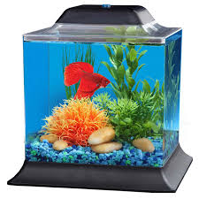 We did not find results for: Imagitarium 1 4 Gallon Betta Aquarium Petco
