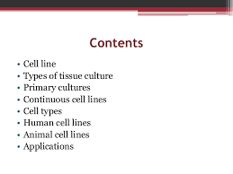 Maybe you would like to learn more about one of these? Cell Line