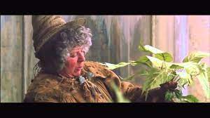 Longbottom would go on to become the herbology professor at hogwarts, so there is also canon support for this choice (although it may be considered cheating). Mandrakes In Herbology Youtube