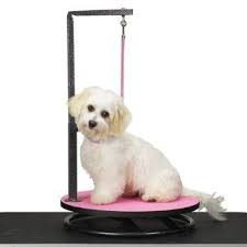Amazon Com Master Equipment Small Pet Grooming Table Pink Pet Supplies Pet Grooming Dog Grooming Dog Grooming Supplies