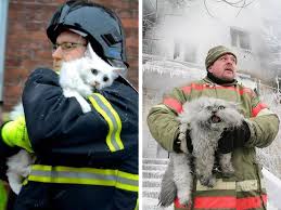 Denmark are determined to squeeze into the knockout stage of euro 2020 with a win against russia in their final group b match on monday, after recovering with poise from the shock of christian. Cat From Denmark Vs Cat From Russia After Being Saved From A Fire Funny