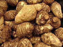 Can colocasia esc be growen in ponds. Colocasia Cultivation Agristudent Com Agristudent Com