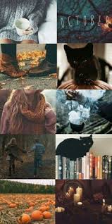 Alman Ciftci Harald Wenske Balkabagi Hasadini Satmaya Goturuyor Sonbahar Balkabagi Mevsimi Ilginc Interesting Pinterest