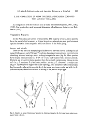 Image result for Tricalysia sp. E