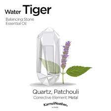 Year Of The Tiger Chinese Zodiac Personality Fortune Chinese Zodiac Tiger Year Of The Tiger Chinese Astrology