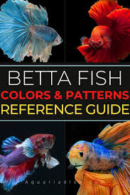 Betta Fish Colors Patterns Reference Guide In 2020 Betta Betta Fish Types Betta Fish