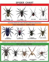 Pin On Things I M Afraid Of
