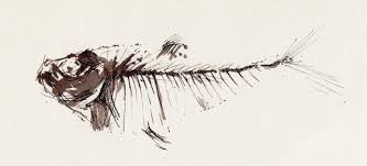 I Like El Arte Of El Fishe Fish Sketch Ink Sketch Fossil