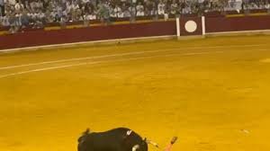 heraldo.es - News update