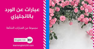 عبارات حب جميلة جداً ، احلي خواطر رومانسية وكلمات غرامية للعشاق والمخطوبين والمتزوجين حديثاً ، آلاف العبارات بإمكانك الانتقاء منها ومشاركتها مع زوجتك أو أقوى 5 عبارات حب رومانسية: Ø¹Ø¨Ø§Ø±Ø§Øª Ø¹Ù† Ø§Ù„ÙˆØ±Ø¯ Ø¨Ø§Ù„Ø§Ù†Ø¬Ù„ÙŠØ²ÙŠ