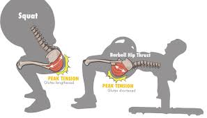 You can definitely train your glutes up to 3 times per week every other day. Your Optimal Training Frequency For The Glutes Part I Exercise Type Bret Contreras