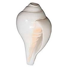 Vastu Tips For Keeping Shankh Or Conch Shell At Home