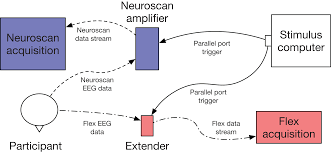 Opinion add to my workbooks (0) download file pdf embed in my website or blog add to google classroom A Validation Of Emotiv Epoc Flex Saline For Eeg And Erp Research Peerj