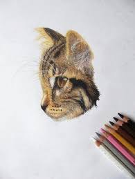 Kitten On Tumblr Cat Art Art Drawings