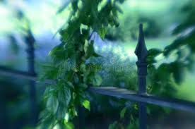 Un letto dallo stile semplice caratterizzato da un medaglione ovale con disegnata artigianalmente interamente a mano. 672 Albero Del Ferro Battuto Foto Foto Stock Gratis E Royalty Free Da Dreamstime