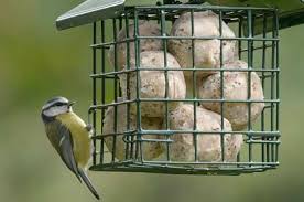 Garden bird feeder is an informational blog providing advice on how to feed garden birds in the uk. Bird Feeders Wild Garden Bird Feeder Range Rspb Shop