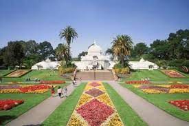 Facts About The Blazing Star Plant Golden Gate Park San Francisco San Francisco Attractions Golden Gate Park