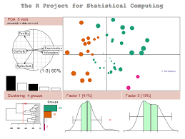 The R Project For Statistical Computing Catholic Education Technology Websites Data Science