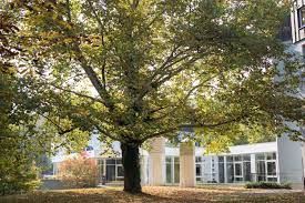 Located in bentota, haus berlin offers a great night of sleep so you're well rested for the next day. Unser Haus Ver Di