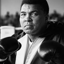 Boxing: Only Full Fights