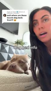 Taylor Saurus Rex Dog Bed Return