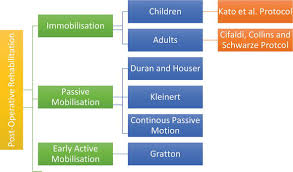 The flexor tendon is a specific type of tendon that is located in the forearm.its function is to connect muscles of the body to the bones. Flexor Tendon Injuries Intechopen
