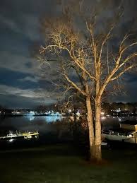 Took this with my IPhone 13. It's handheld, the tree was only lit with the  open blinds in the living room. The lines