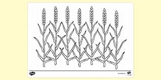 Printable corn stalk coloring page. Free Thin Corn Stalks Colouring Sheets Colouring Sheets