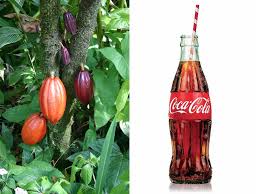 The video talks about alexander samuelson. The Story Behind Coca Cola S Iconic Coke Bottle